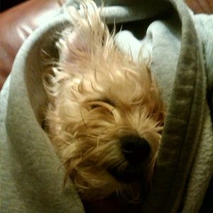 Meet your Posher, Sonya